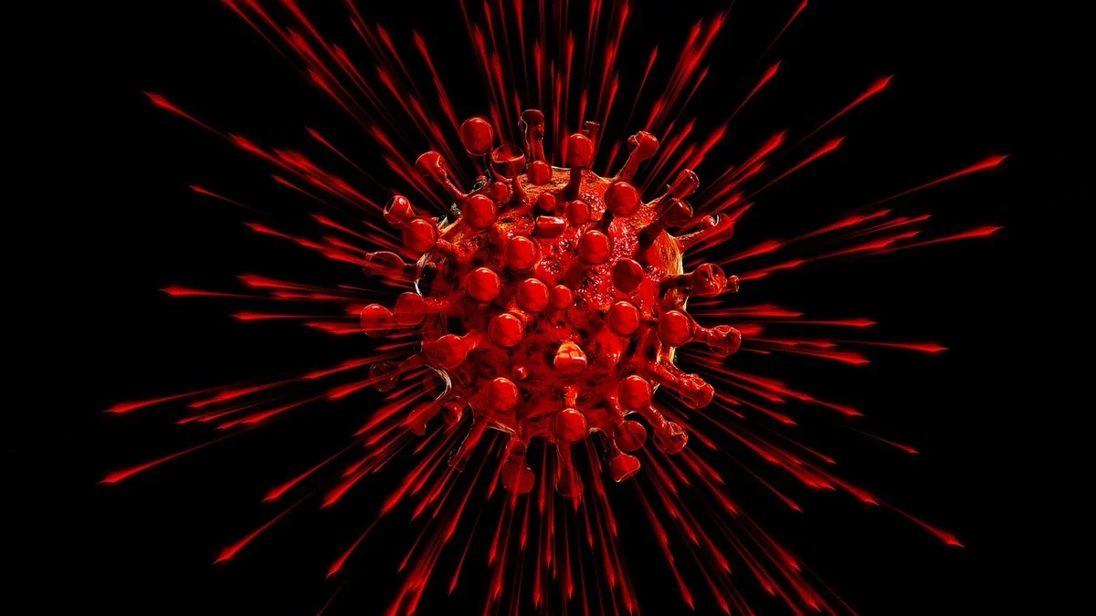 鲁特肯豪斯800米惊艳爆冷:老将经验价值受关注